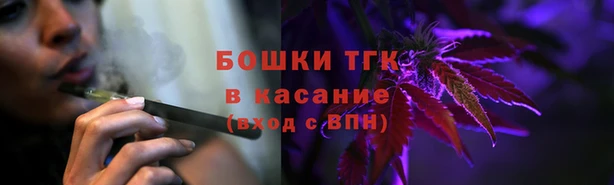 ECSTASY Алзамай