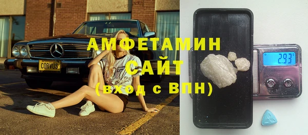 ECSTASY Алзамай