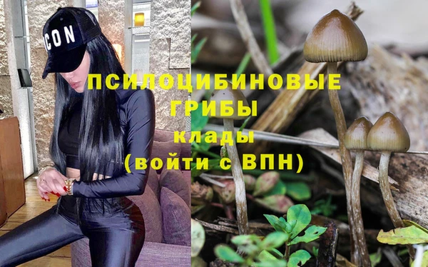 гашишное масло Алексеевка