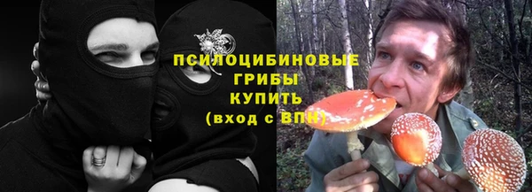 ECSTASY Алзамай