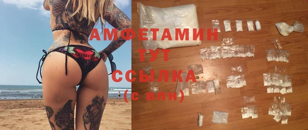 ECSTASY Алзамай
