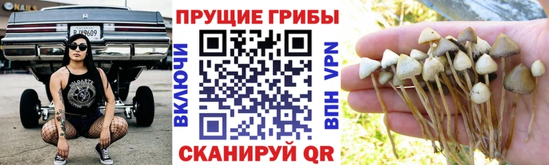 Галлюциногенные грибы GOLDEN TEACHER  Новая Ляля 